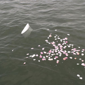 na cremeren asverstrooiing op het Wad in een afbreekbare urn-envelop