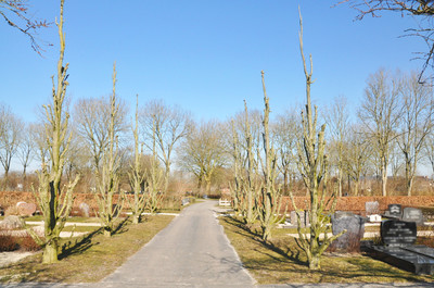 Algemene Begraafplaats Winsum, Schillegeham Winsum