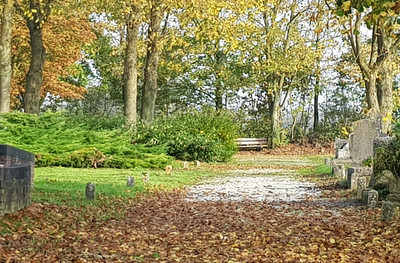 de begraafplaats in Hornhuizen