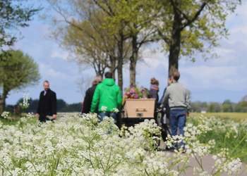 Uitvaartzorg van Stad tot Wad - een duurzame uitvaart in kleine kring