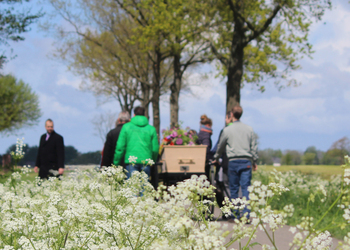 een groene uitvaart in kleine kring - Uitvaartzorg van Stad tot Wad