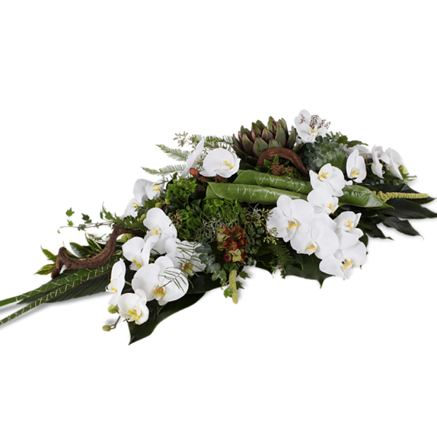 Mountain High Uitvaartzorg Van Stad Tot Wad mountain-high-uitvaartzorg-van-stad-tot-wad